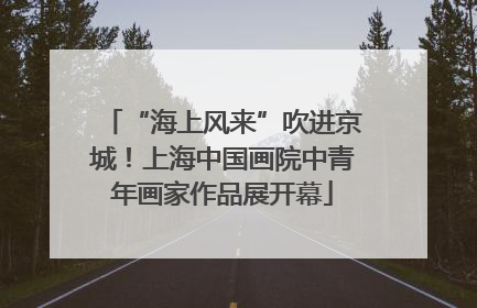 “海上风来”吹进京城！上海中国画院中青年画家作品展开幕